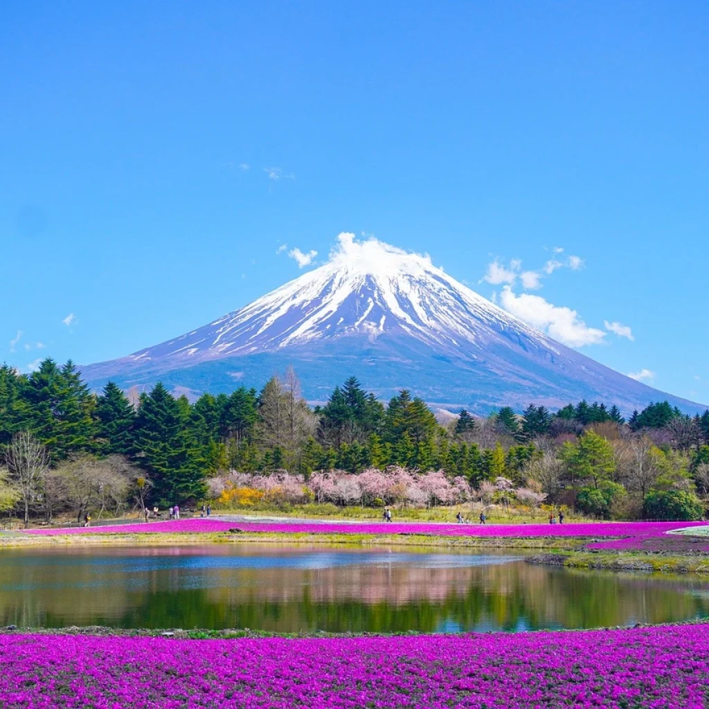 Explore travel experiences in Japan, one of the most popular destinations on Elife Travel