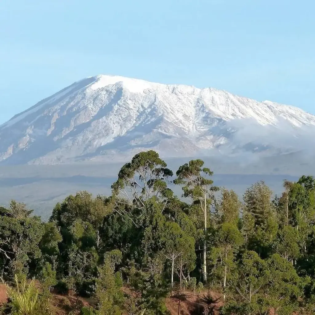 Explore 7 Days Mount Kilimanjaro Rongai Route Climb for 7 days with  Travel Africa Safari Agency and discover unforgettable experiences - Photo 2