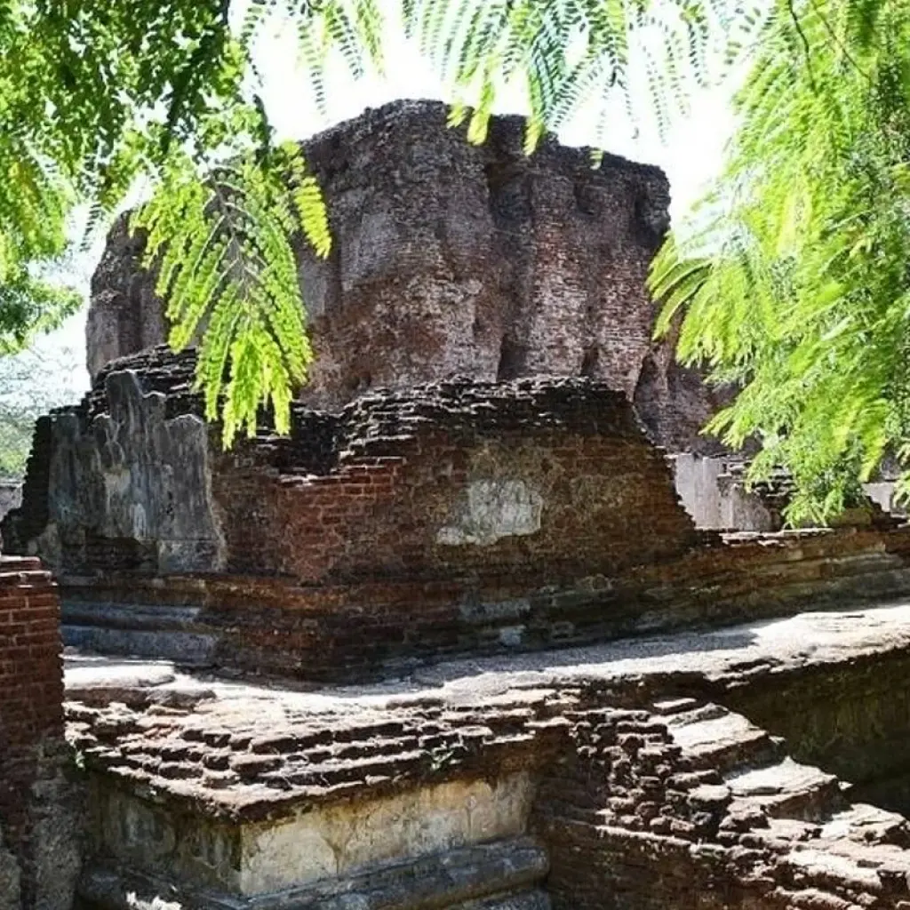 Explore Cultural Tour for 4 days with Aitken Spence Travel and discover unforgettable experiences - Photo 2