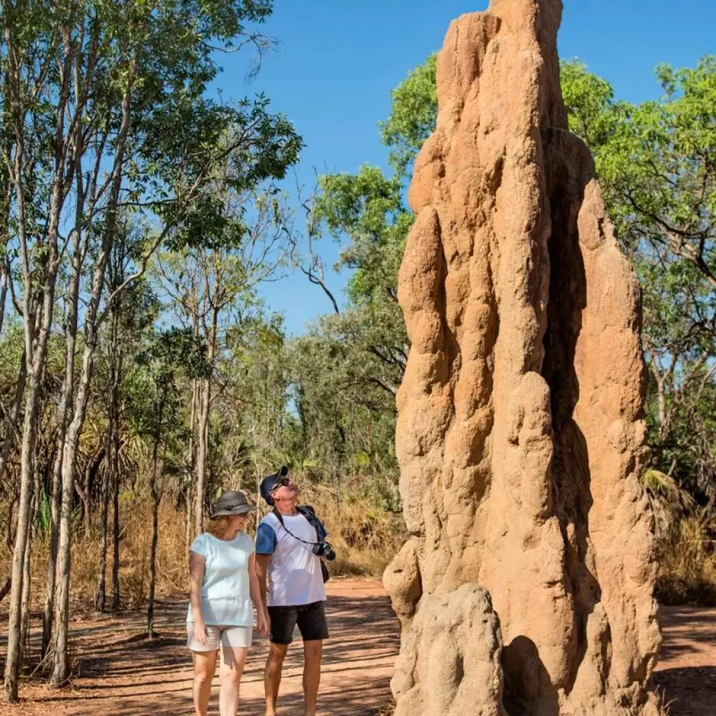 Explore Litchfield National Park & Wildlife Experience for 1 days with Autopia Tours and discover unforgettable experiences - Photo 2