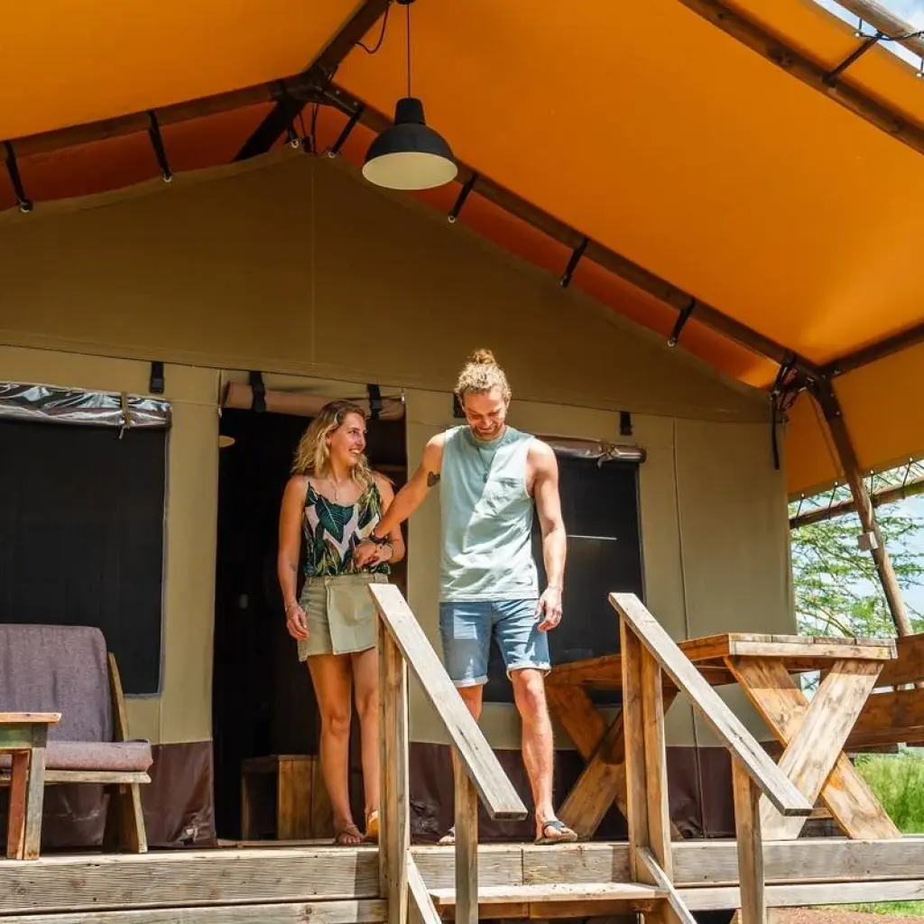 Explore From Arusha 3 Days Big Cats Safari Expedition,Serengeti,Ngorongoro, Tarangire for 3 days with Beach and Safari Holidays and discover unforgettable experiences - Photo 2
