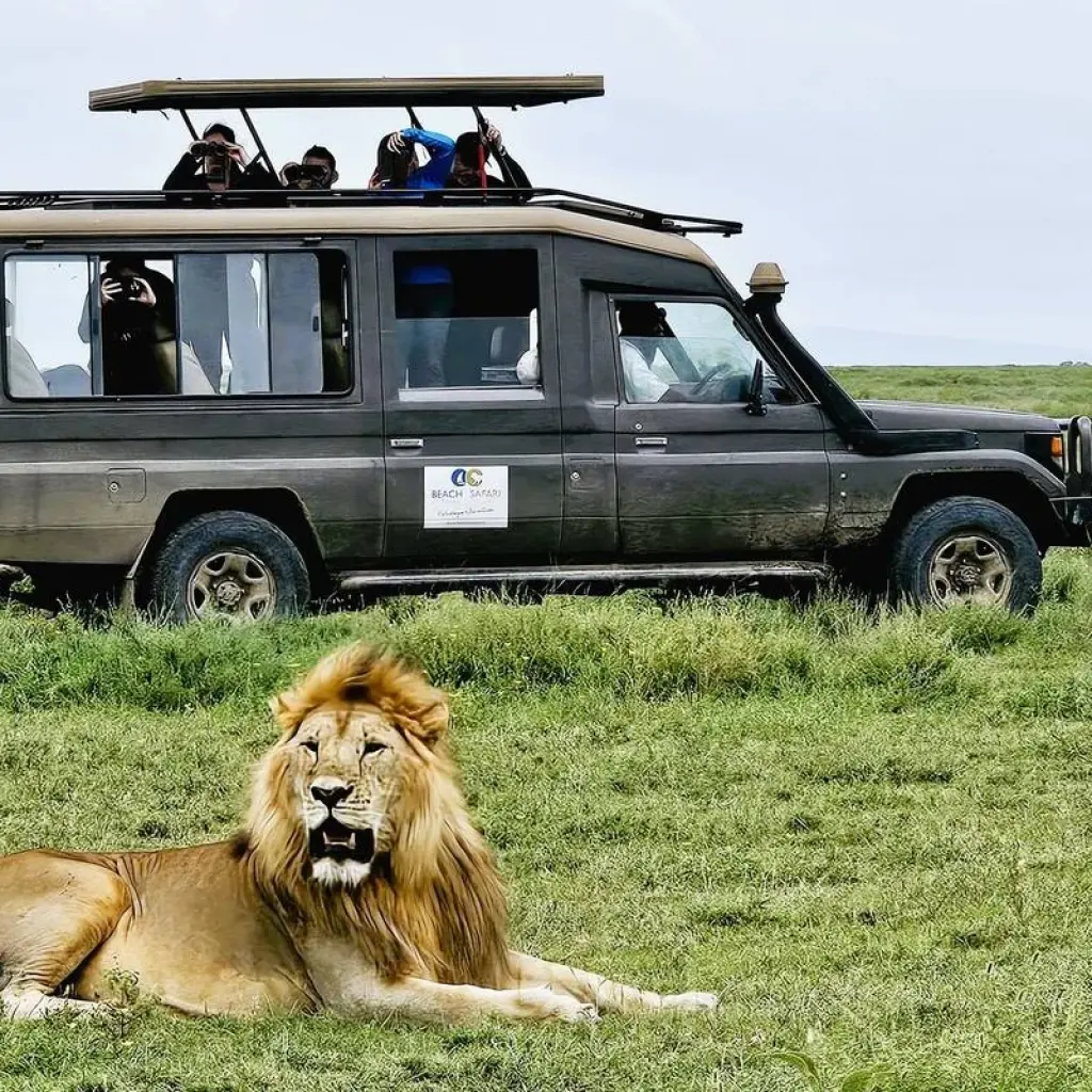 Explore From Arusha 6 days Journey Through Lakes, Savannah, and Craters: Tanzania's Icons  Lake Natron,Serengeti safari trip for 6 days with Beach and Safari Holidays and discover unforgettable experiences - Photo 2