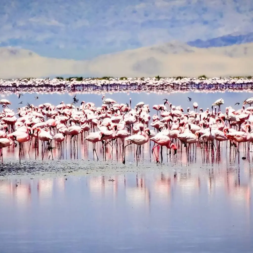 Explore From Arusha 6 days Great Northern Circuit Wildlife Safari: Tarangire, Lakes Natron/ Manyara, Serengeti for 6 days with Beach and Safari Holidays and discover unforgettable experiences - Photo 2