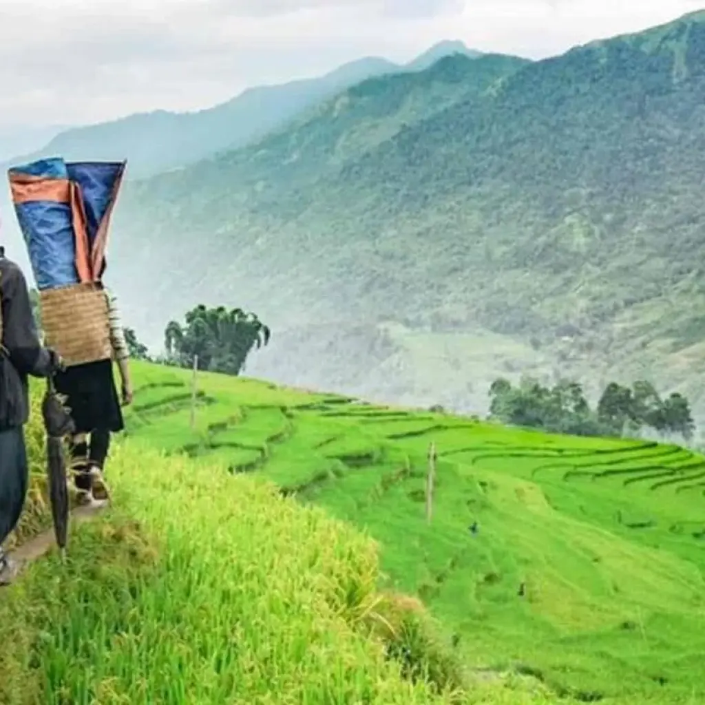 Explore 2 Days 1 Night Unique Culinary and Medicinal Experience Tour with Ta Van Indigenous People | Departure from Hanoi | Vietnam for 2 days with Best Vietnam Tours and discover unforgettable experiences - Photo 2