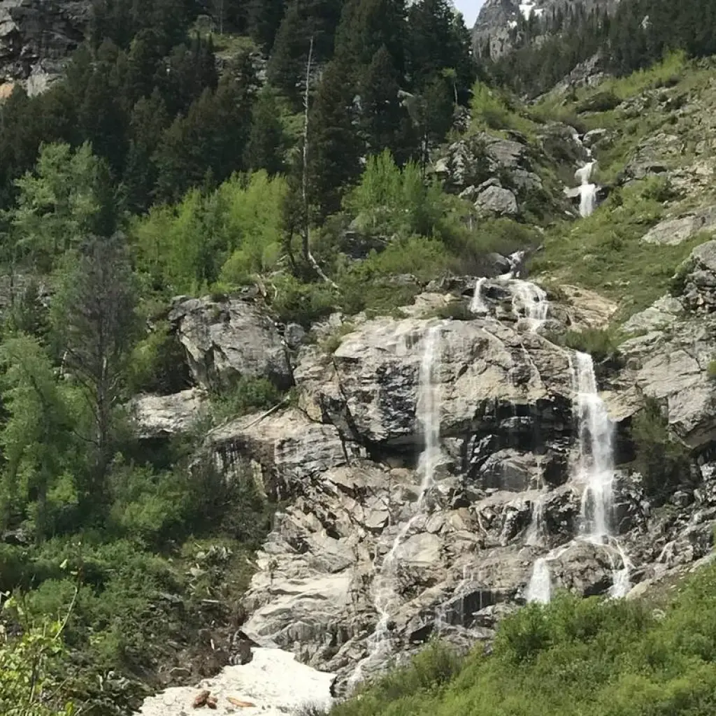 Explore Yellowstone & Rocky Mountain Explorer for 7 days with Bindlestiff Tours and discover unforgettable experiences - Photo 2