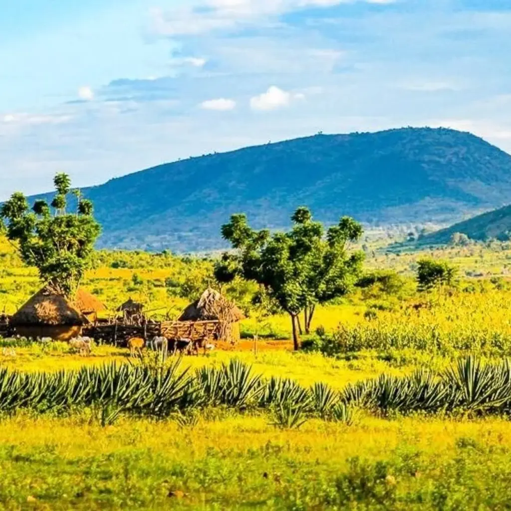 Explore Masai Mara Adventure for 15 days with Chamaeleon and discover unforgettable experiences - Photo 2