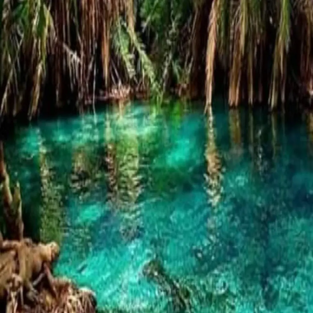 Explore A Day Trip To Kikuletwa Hotspring for 1 days with Click Expeditions and discover unforgettable experiences - Photo 2