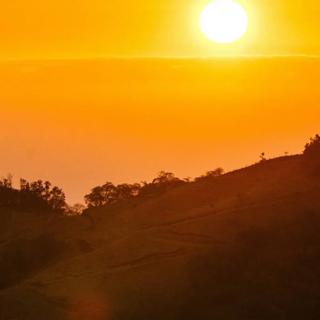 Explore Monteverde Cloud Forest for 3 days with DERTOUR and discover unforgettable experiences - Photo 2