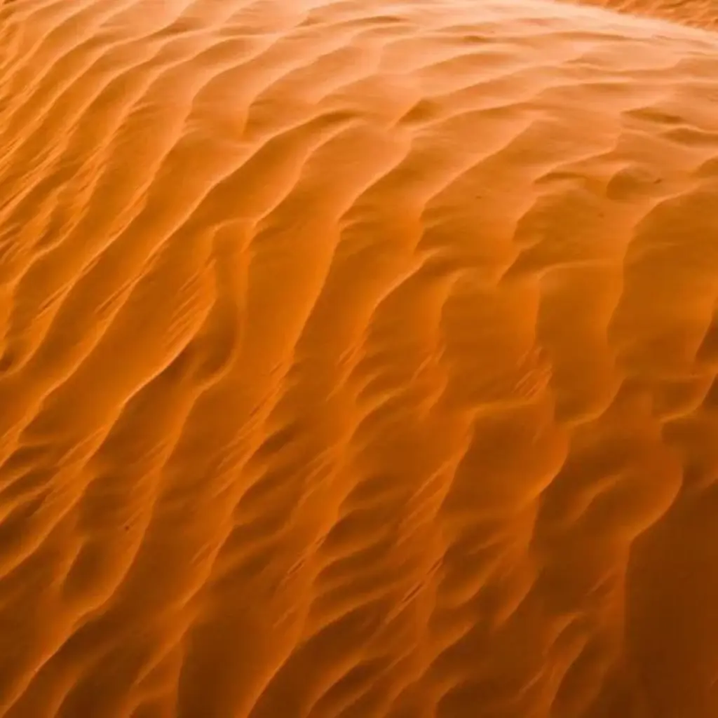 Explore The Grand Tour of Tunisia for 11 days with Depart Travel Services and discover unforgettable experiences - Photo 2
