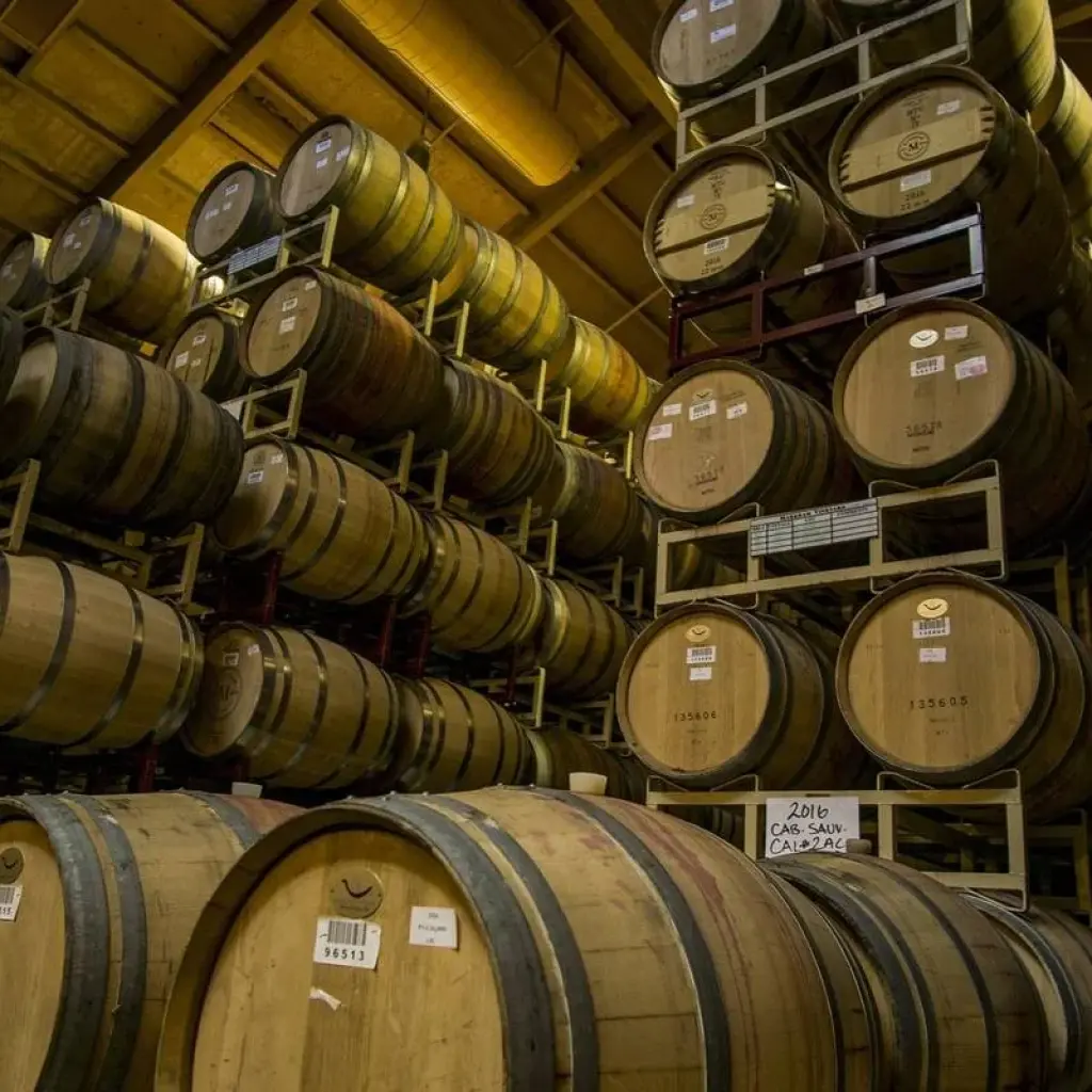 Explore Piedmont Private Epxerience: land of grapes, truffle and history for 5 days with Europeando Europa and discover unforgettable experiences - Photo 2