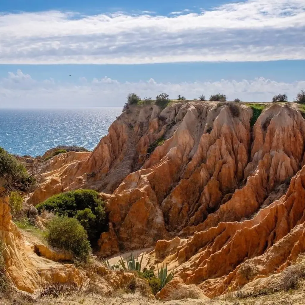 Explore Walking Portugal's Wild Algarve for 8 days with Exodus Adventure Travels and discover unforgettable experiences - Photo 2