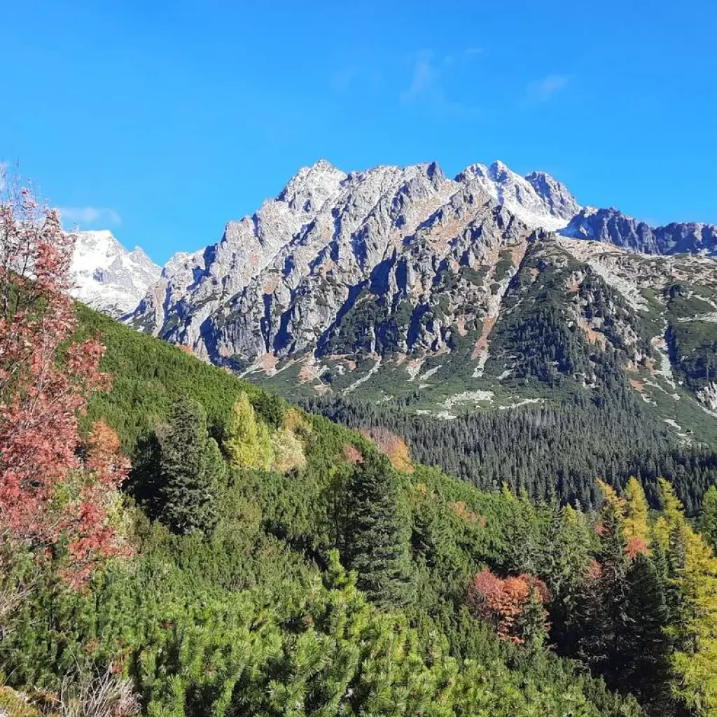Explore Bear watching hiking tour for 4 days with Experience Slovakia and discover unforgettable experiences - Photo 2