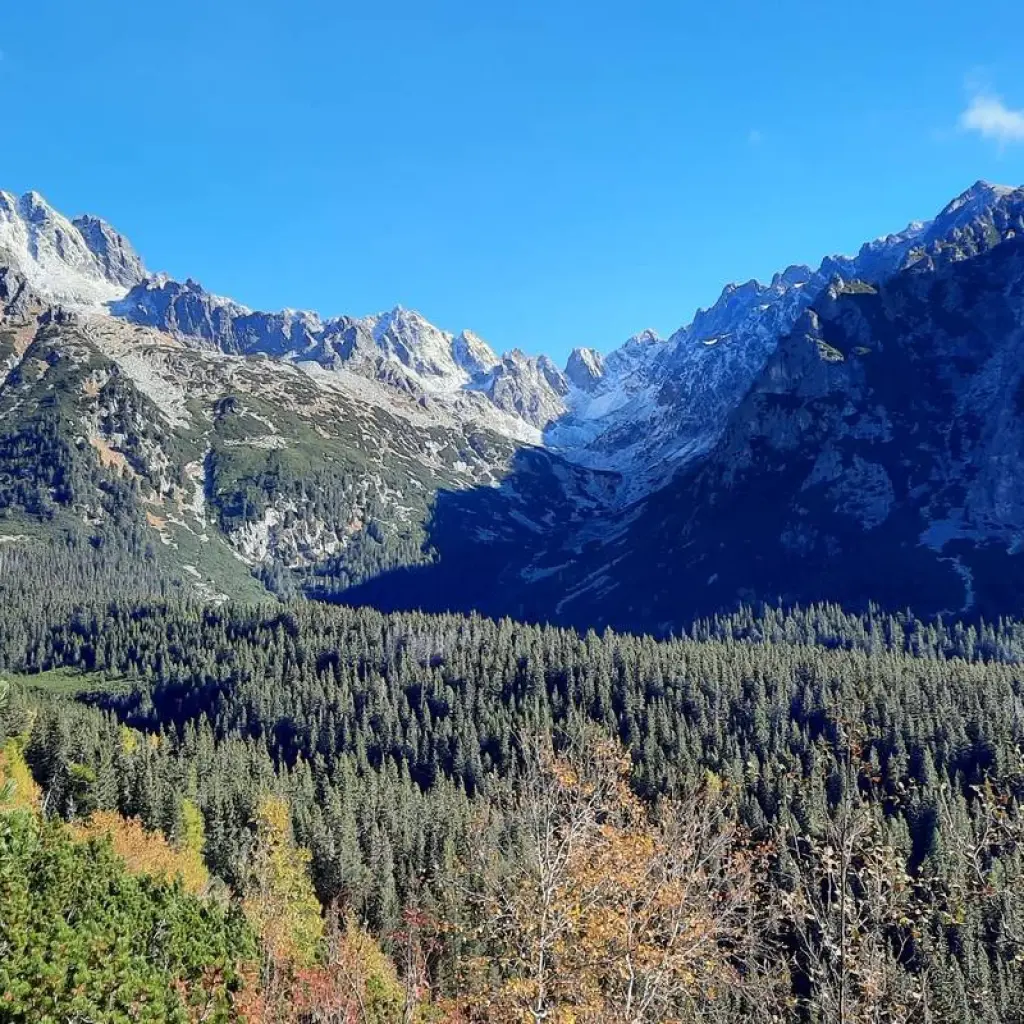 Explore Bear watching hiking tour for 4 days with Experience Slovakia and discover unforgettable experiences - Photo 2