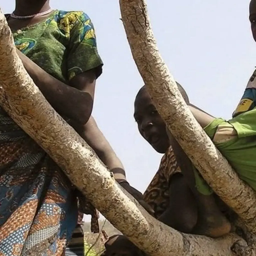 Explore Benin and Togo Voodoo Discovery (Voodoo Festival) for 14 days with Explore! and discover unforgettable experiences - Photo 2