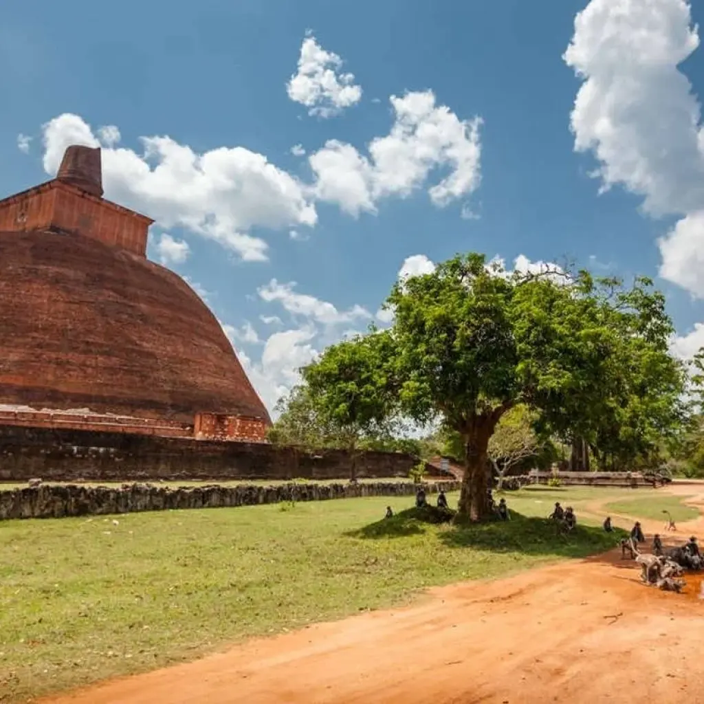 Explore Active Sri Lanka for 14 days with Explore! and discover unforgettable experiences - Photo 2
