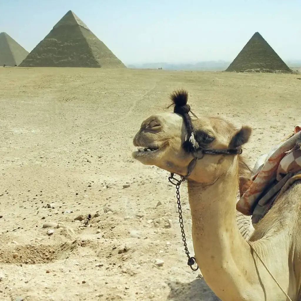 Explore Luxury Private Egypt Tour for 7 days with Flo Tours and discover unforgettable experiences - Photo 2