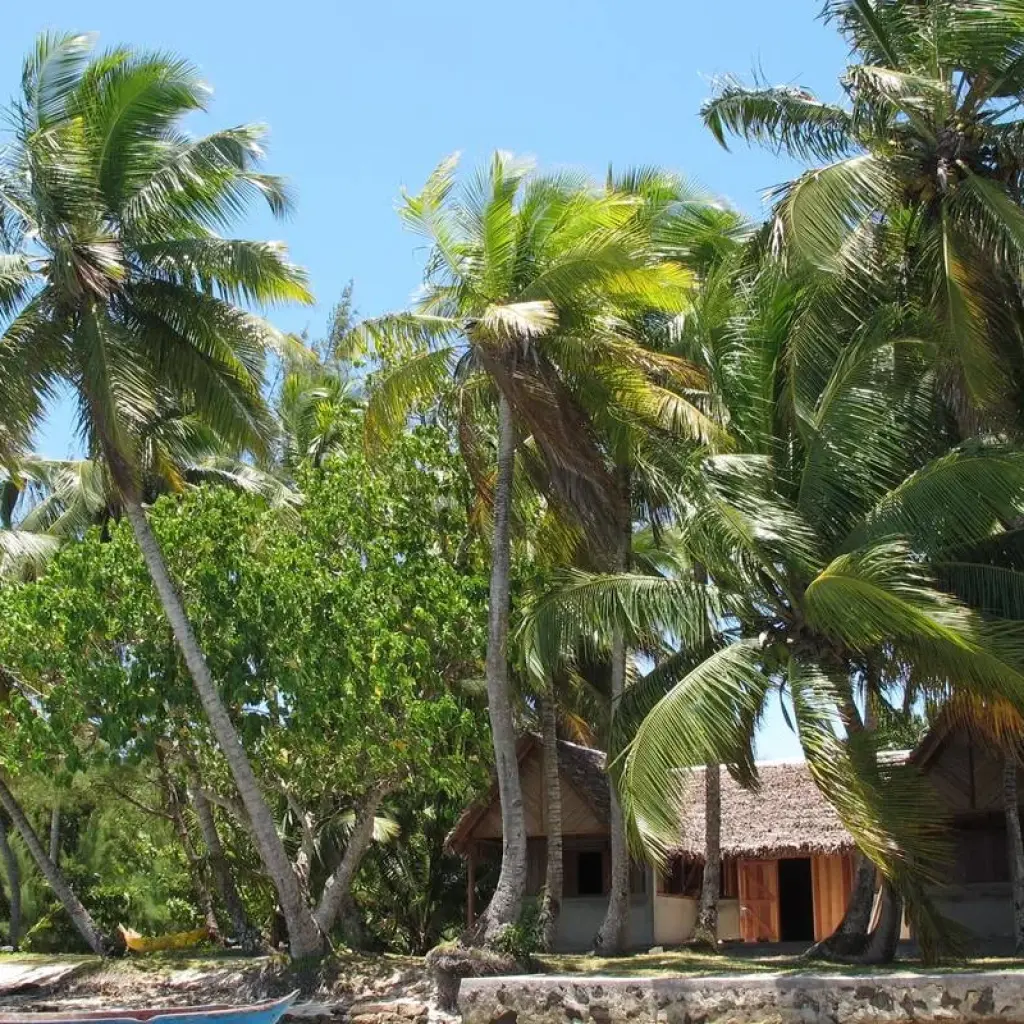 Explore 11 Days East of Madagascar Tour for 11 days with Fosa Travel and discover unforgettable experiences - Photo 2