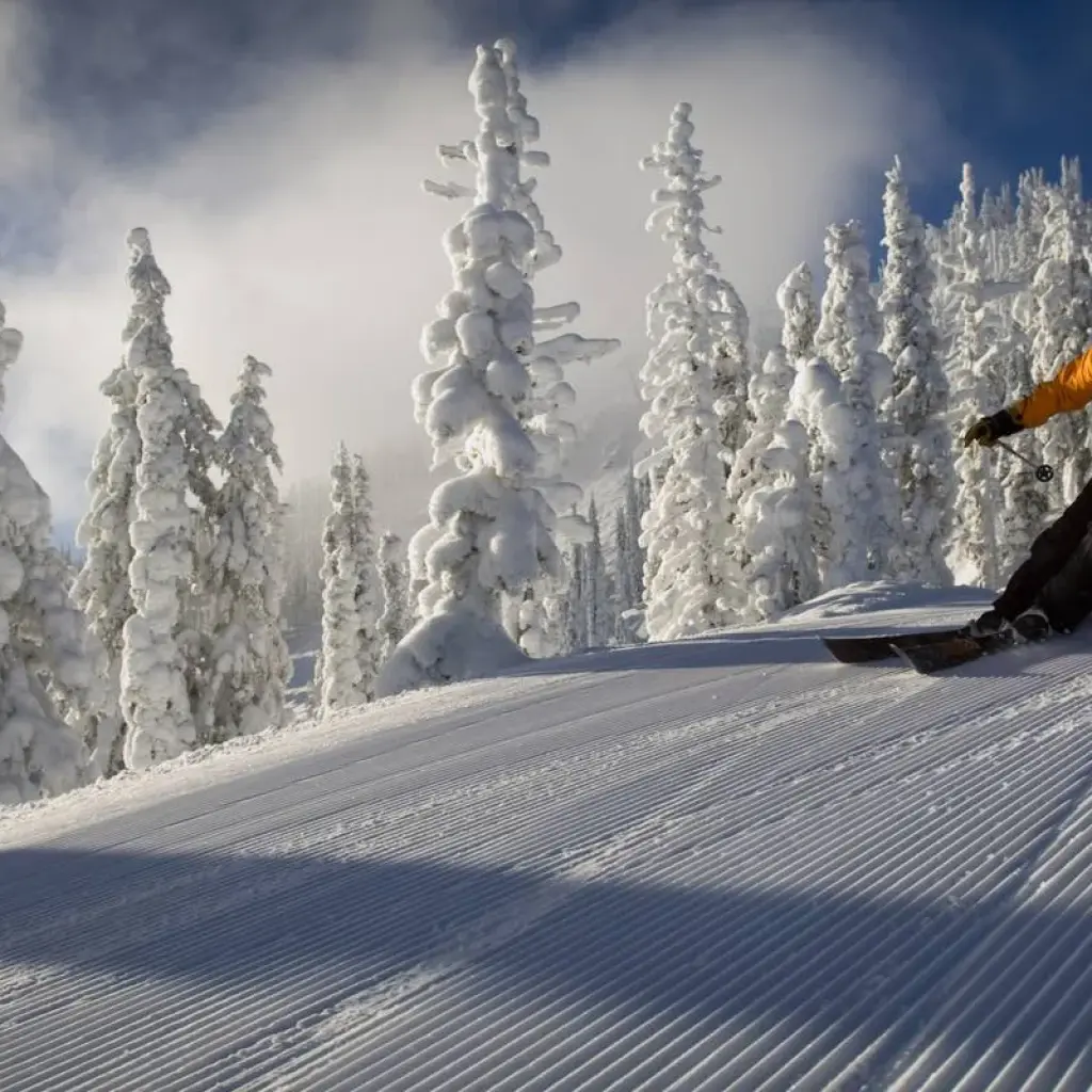 Explore British Columbia Ski Tour 11 Days for 11 days with Fresh Adventures and discover unforgettable experiences - Photo 2