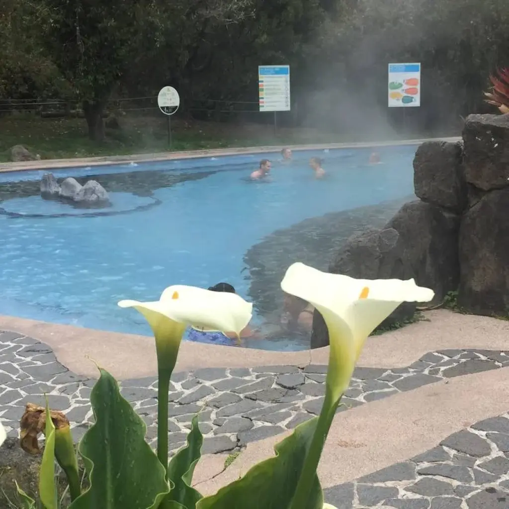 Explore Ecuador Treasures Bucket List  8 Days Tour for 8 days with GUIDEcuador Travel and discover unforgettable experiences - Photo 2