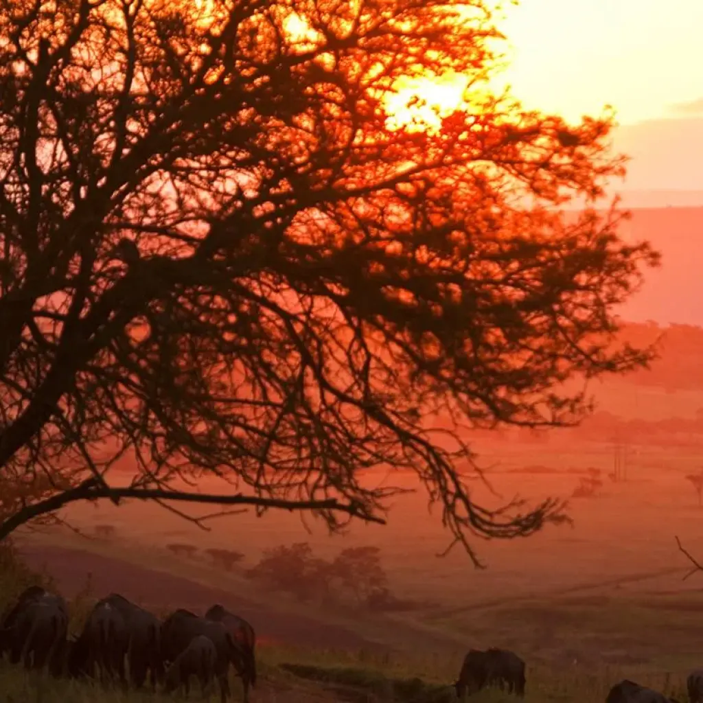 Explore Magical South Africa for 14 days with Gebeco and discover unforgettable experiences - Photo 2