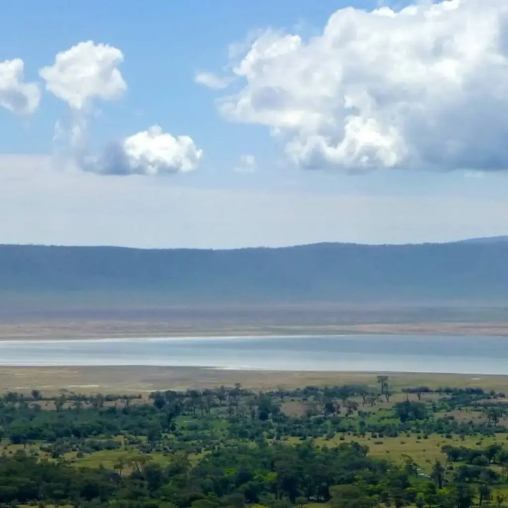 Explore 12 Days Honeymoon Tanzania and Zanzibar for 12 days with Golden world explore and discover unforgettable experiences - Photo 2