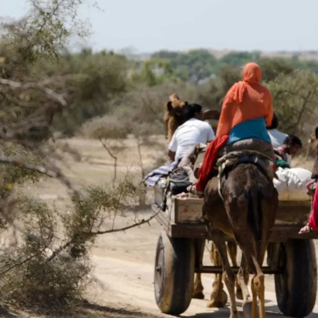 Explore Luxury Trails of Rajasthan for 14 days with Golden Triangle India Tours and discover unforgettable experiences - Photo 2