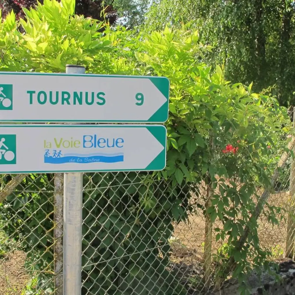 Explore Burgundy by bike:  Grand cru and Romanesque art - Guided cycling tour for 8 days with Grand Angle  and discover unforgettable experiences - Photo 2