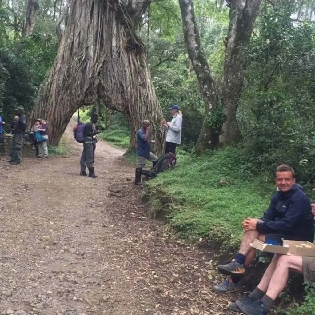 Explore Kilimanjaro climb via Umbwe route for 8 days with Himalayan Glacier Adventure and Travel Company and discover unforgettable experiences - Photo 2