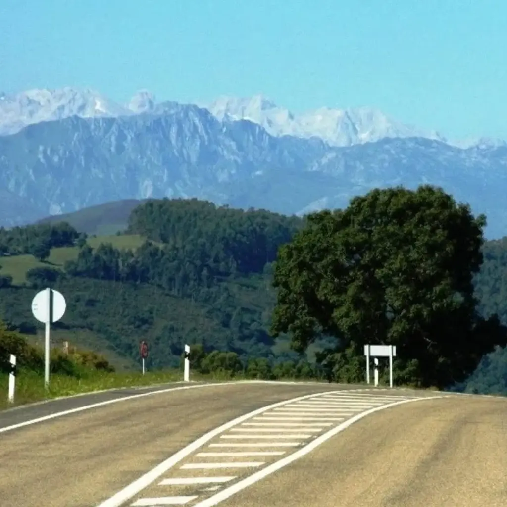 Explore Cantabria & Asturias Self-Guided Cycling Tour for 9 days with IberoCycle Tours and discover unforgettable experiences - Photo 2