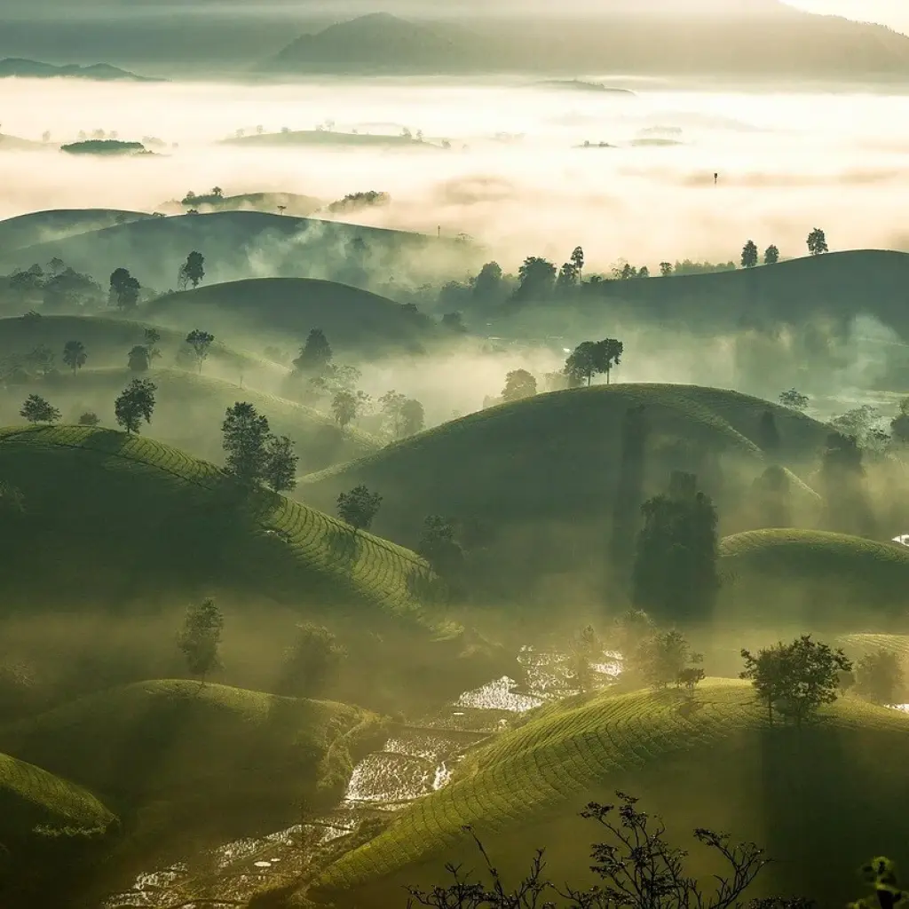 Explore travel experiences in Asia, one of the most popular destinations on Elife Travel
