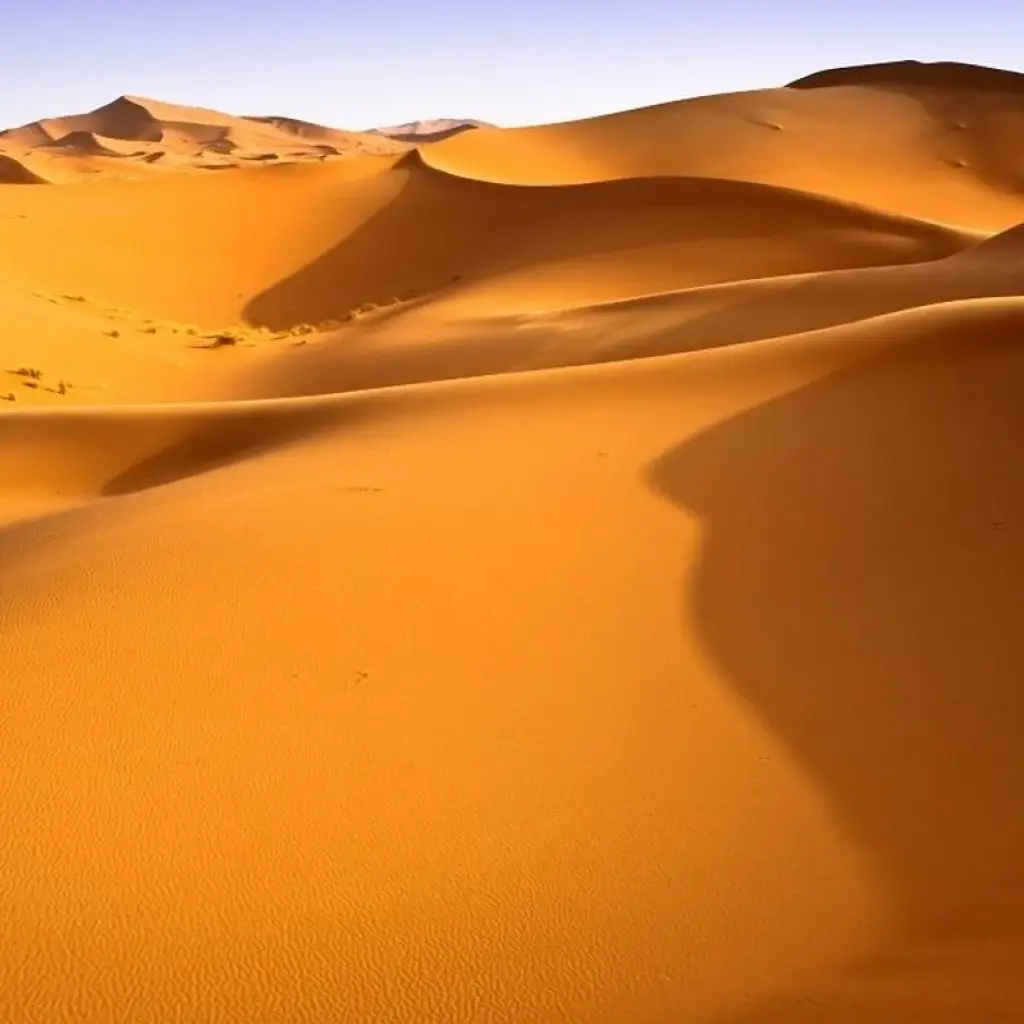 Explore Sahara and High Atlas, Private tour for 6 days with Destination Services Morocco and discover unforgettable experiences - Photo 2