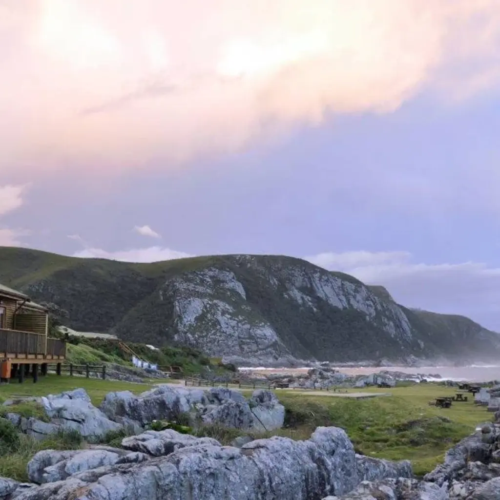Explore Cape Town and Garden Route for 12 days with ATC Group and discover unforgettable experiences - Photo 2