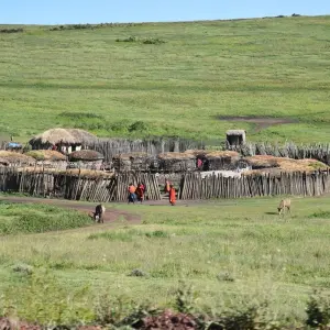 Explore 3 Days Group Budget Lodge Safari Tour Tanzania for 3 days with  Travel Africa Safari Agency and discover unforgettable experiences - Photo 5