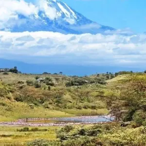 Explore 7 Days Mount Kilimanjaro Rongai Route Climb for 7 days with  Travel Africa Safari Agency and discover unforgettable experiences - Photo 6