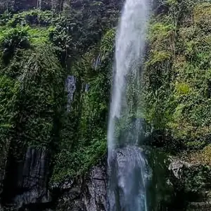 Explore Meru Water falls Day trip for 1 days with  Travel Africa Safari Agency and discover unforgettable experiences - Photo 3