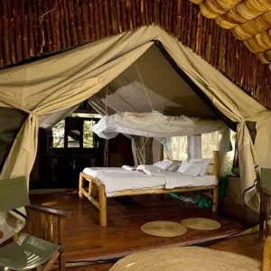 Explore 2 Days, 1 Nights Tarangire & Ngorongoro Group Mid Range Safari Tanzania for 2 days with  Travel Africa Safari Agency and discover unforgettable experiences - Photo 11