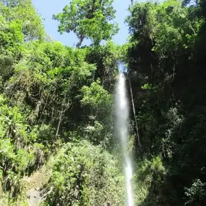 Explore Meru Water falls Day trip for 1 days with  Travel Africa Safari Agency and discover unforgettable experiences - Photo 5