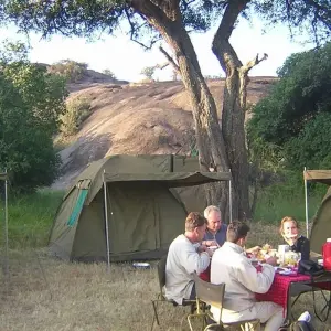 Explore 4 Days, Joining Group Safari Tour Tanzania for 4 days with  Travel Africa Safari Agency and discover unforgettable experiences - Photo 11