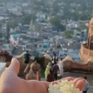 Explore From Delhi: 3 Days Mathura Vrindavan tour for 3 days with  Taj Voyages Tours  and discover unforgettable experiences - Photo 4