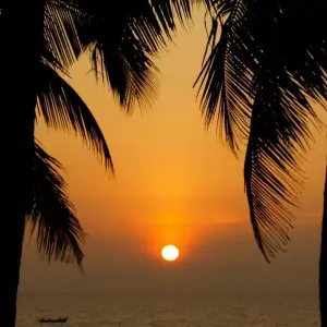Explore 7-Days Private Kerala Tour with Sightseeing!! for 7 days with  Taj Voyages Tours  and discover unforgettable experiences - Photo 4