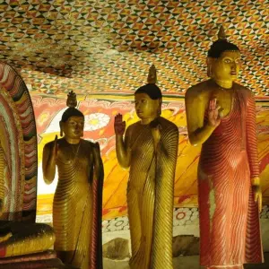 Explore India & Bhutan Tour : A Cultural Odyssey for 15 days with  Taj Voyages Tours  and discover unforgettable experiences - Photo 9