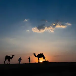 Explore 6-Day Best India's Golden Triangle Tour from Delhi for 6 days with  Taj Voyages Tours  and discover unforgettable experiences - Photo 4