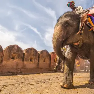 Explore 6-Day Best India's Golden Triangle Tour from Delhi for 6 days with  Taj Voyages Tours  and discover unforgettable experiences - Photo 9