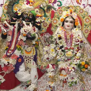Explore Magic of Taj Mahal & Krishna - Golden Triangle Tour with Vrindavan !! for 6 days with  Taj Voyages Tours  and discover unforgettable experiences - Photo 9