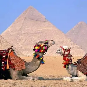 Explore Full Four Day Discovering  All Cairo, Giza, Alexandria And Luxor for 4 days with  Ibermundo Travel Egypt and discover unforgettable experiences - Photo 8