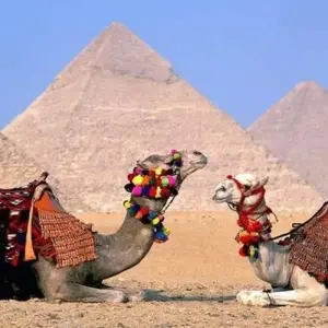 Explore 7 days Egypt King Tutankhamun Tour Hotel in Stander 5* Downtown hotel in Cairo & Nile Cruise 5* Stander for 7 days with  Ibermundo Travel Egypt and discover unforgettable experiences - Photo 9