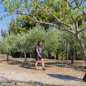 Explore Walk and hike from Split to Dubrovnik for 7 days with 365activecroatia and discover unforgettable experiences - Photo 9