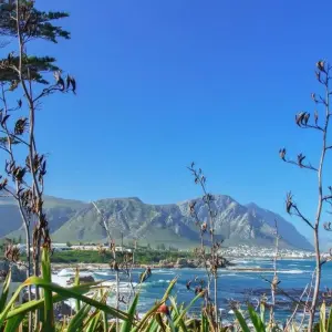 Explore Cape Town and Garden Route for 12 days with ATC Group and discover unforgettable experiences - Photo 2