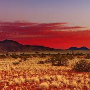 Explore Namibia the Finest Way, Self-Drive for 10 days with ATC Group and discover unforgettable experiences - Photo 6