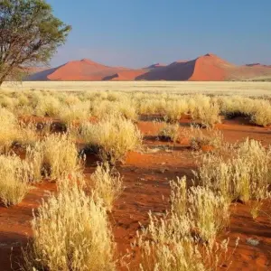 Explore Sossusvlei Region Short Break, Private Tour (On Request) for 4 days with ATC Group and discover unforgettable experiences - Photo 3